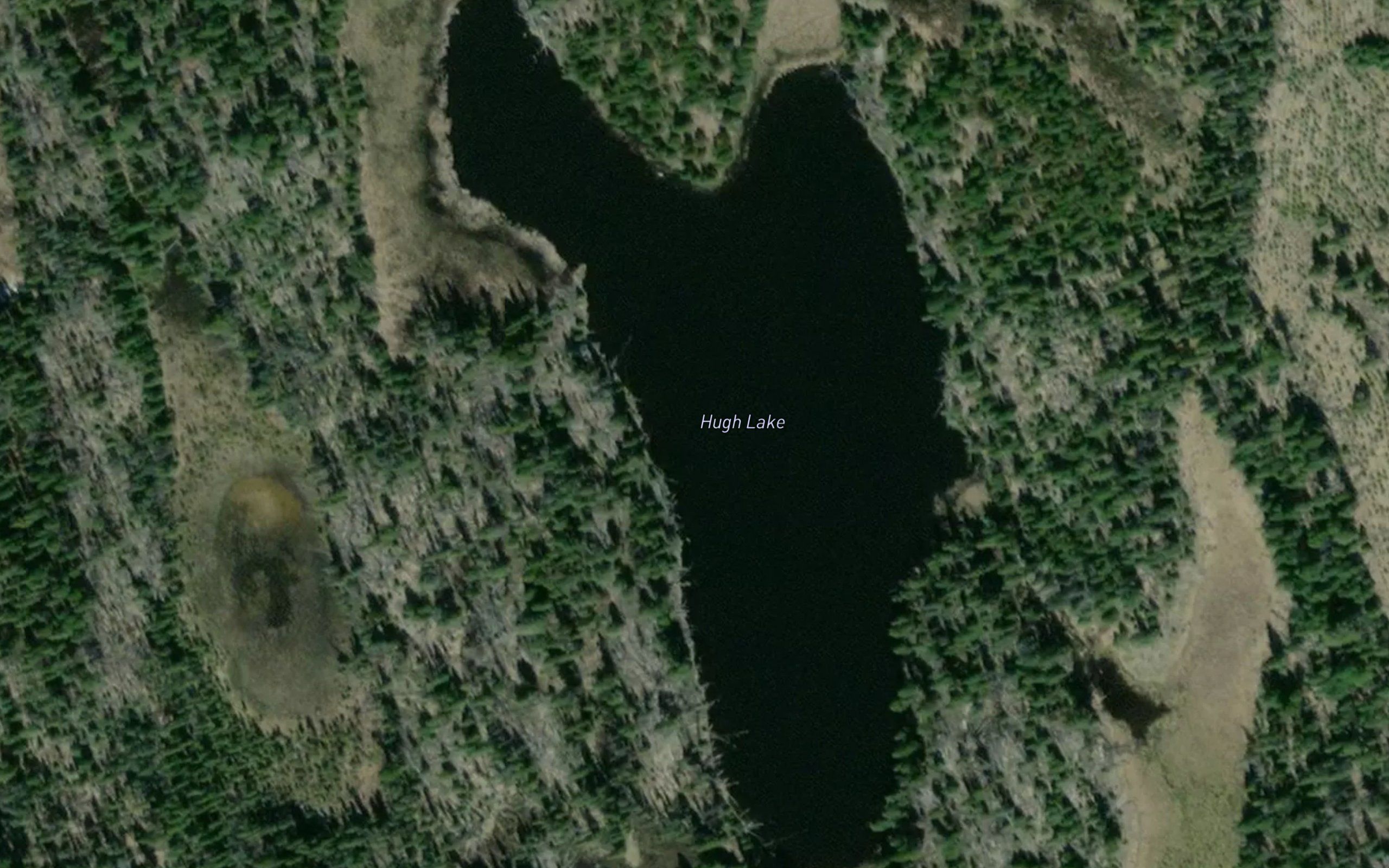 Hugh Lake