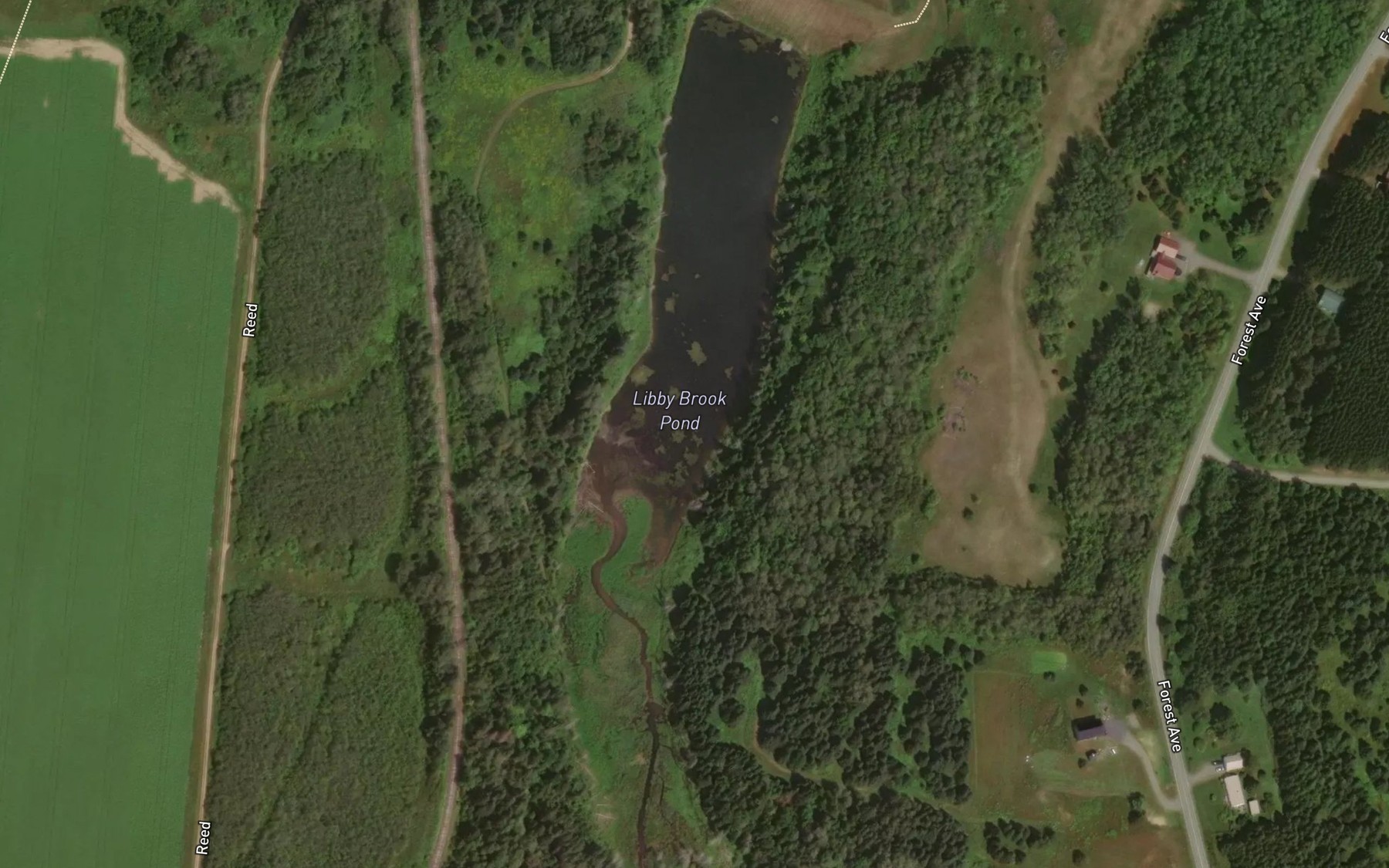 Satellite map of the Libby Brook Pond