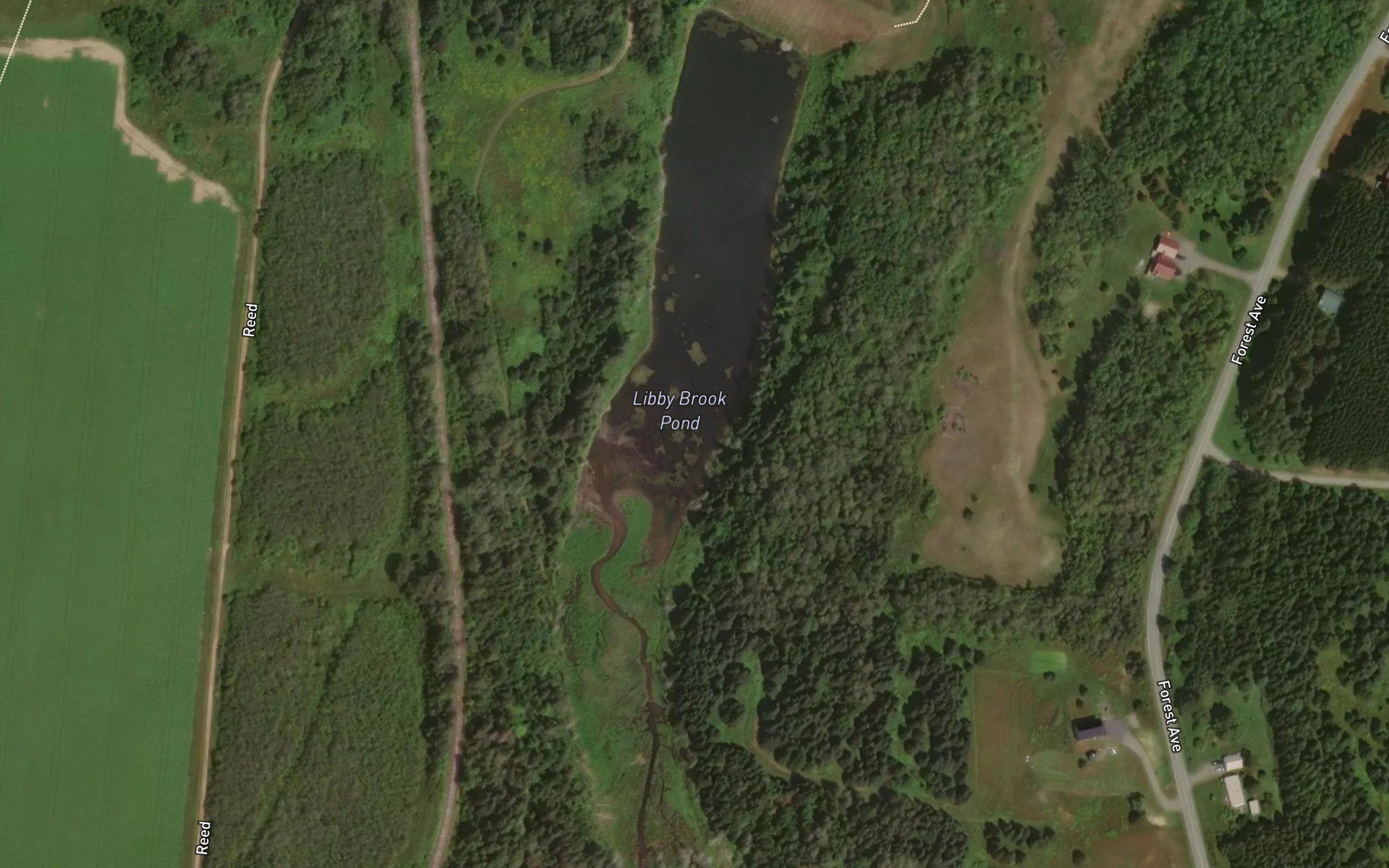 Libby Brook Pond