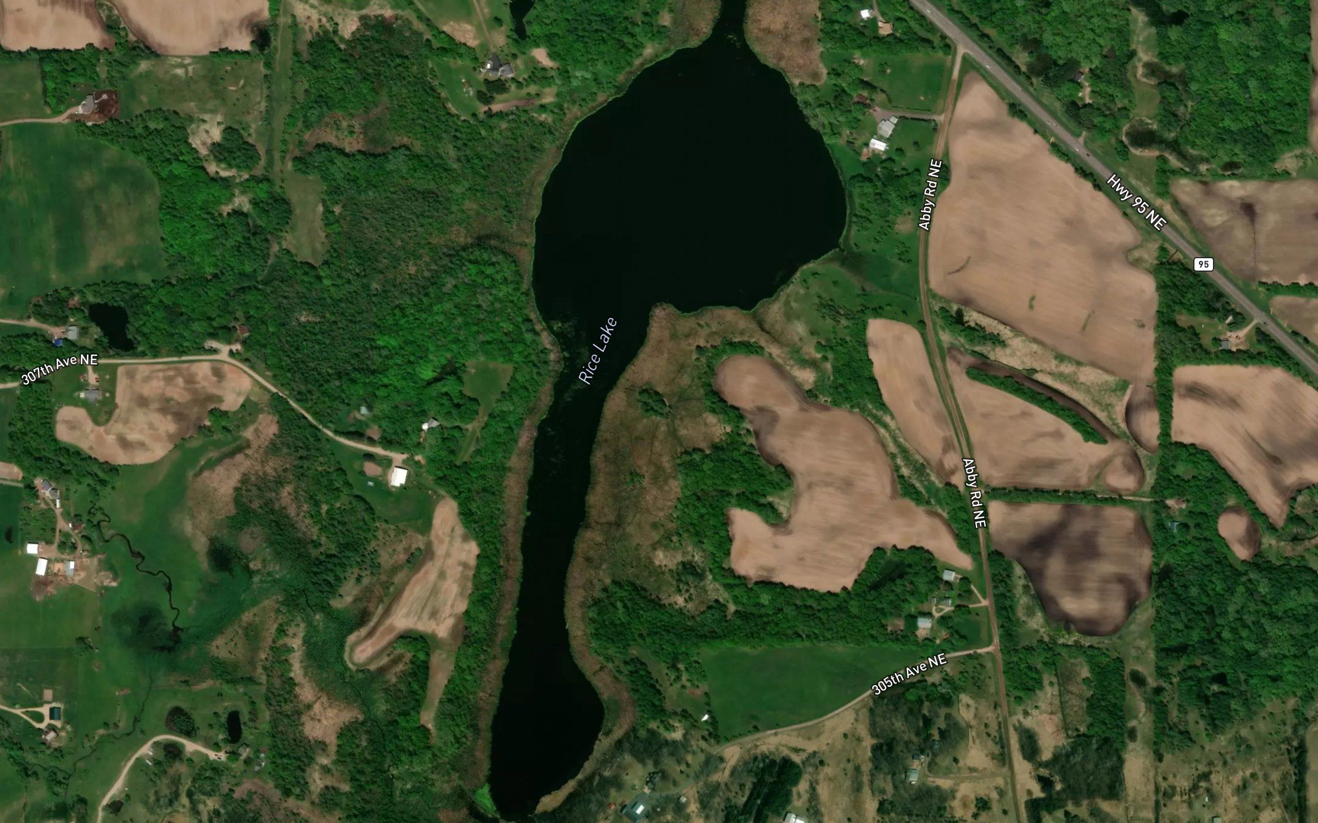 Rice Lake