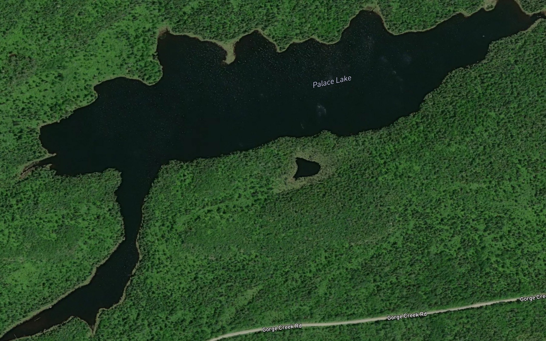 Satellite map of the Palace Lake