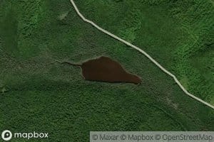 Mink Pond