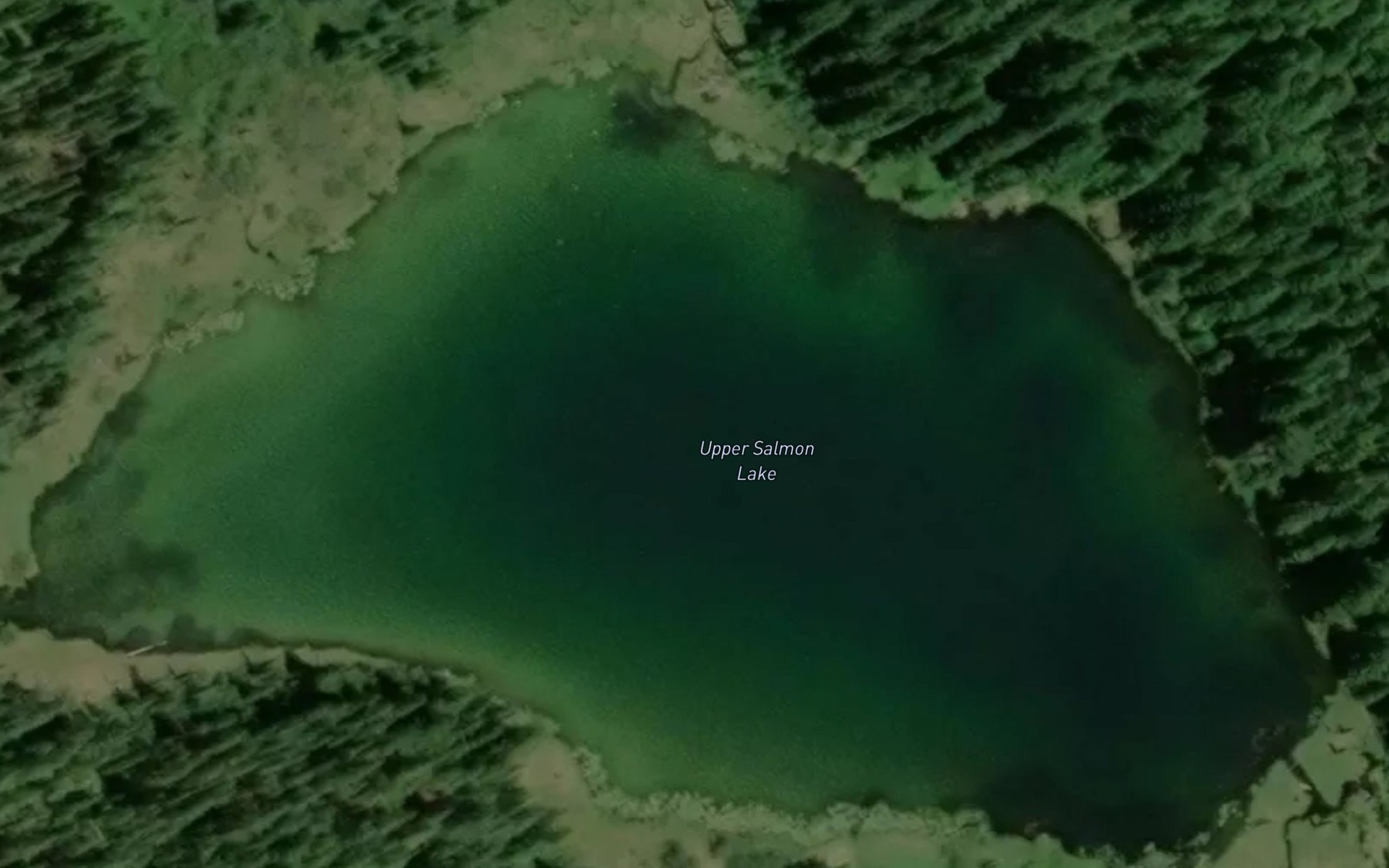Satellite map of the Upper Salmon Lake