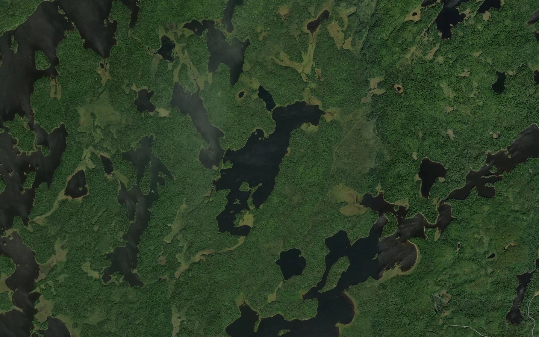 Satellite map of the Lodge Lake