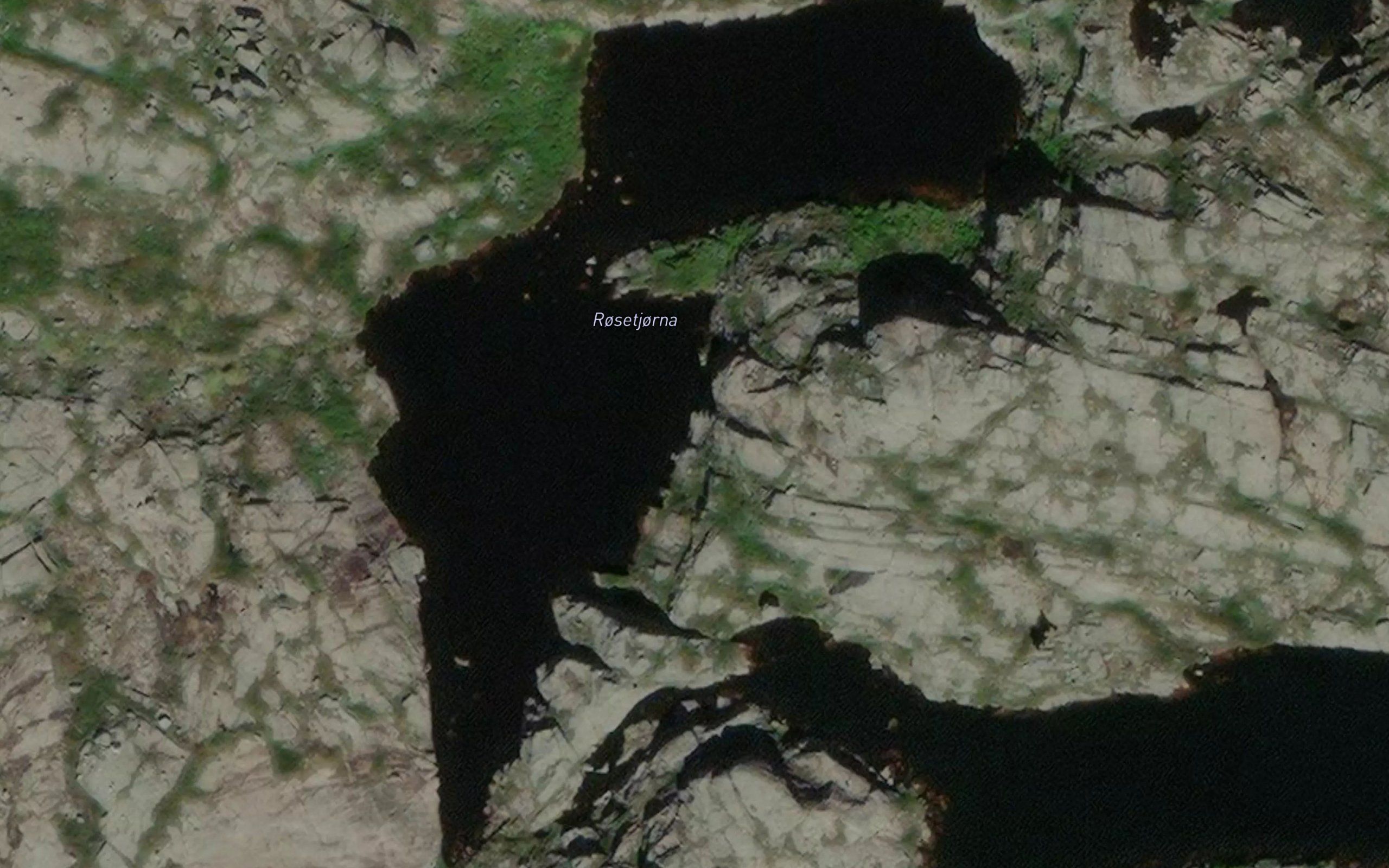 Rosetjorna