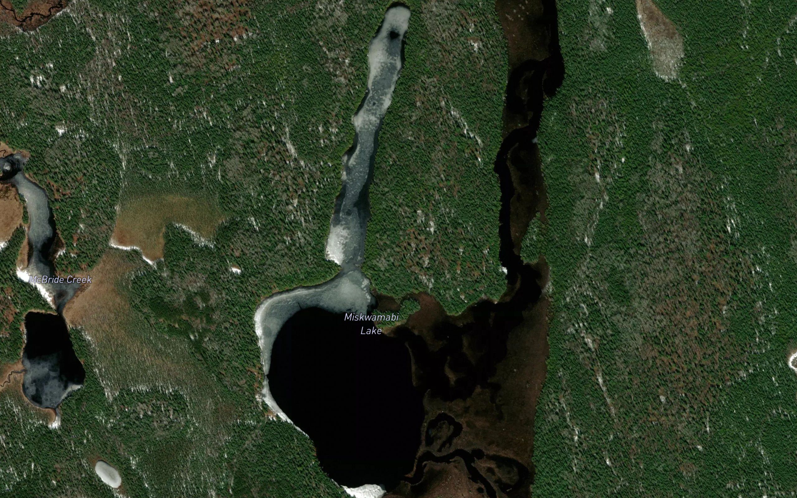 Miskwamabi Lake