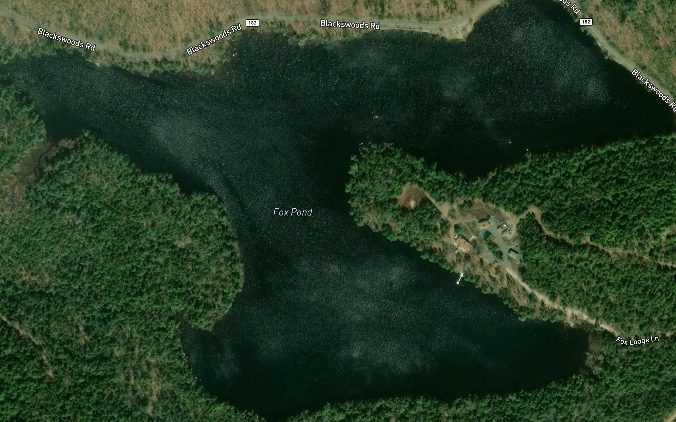 Fox Pond