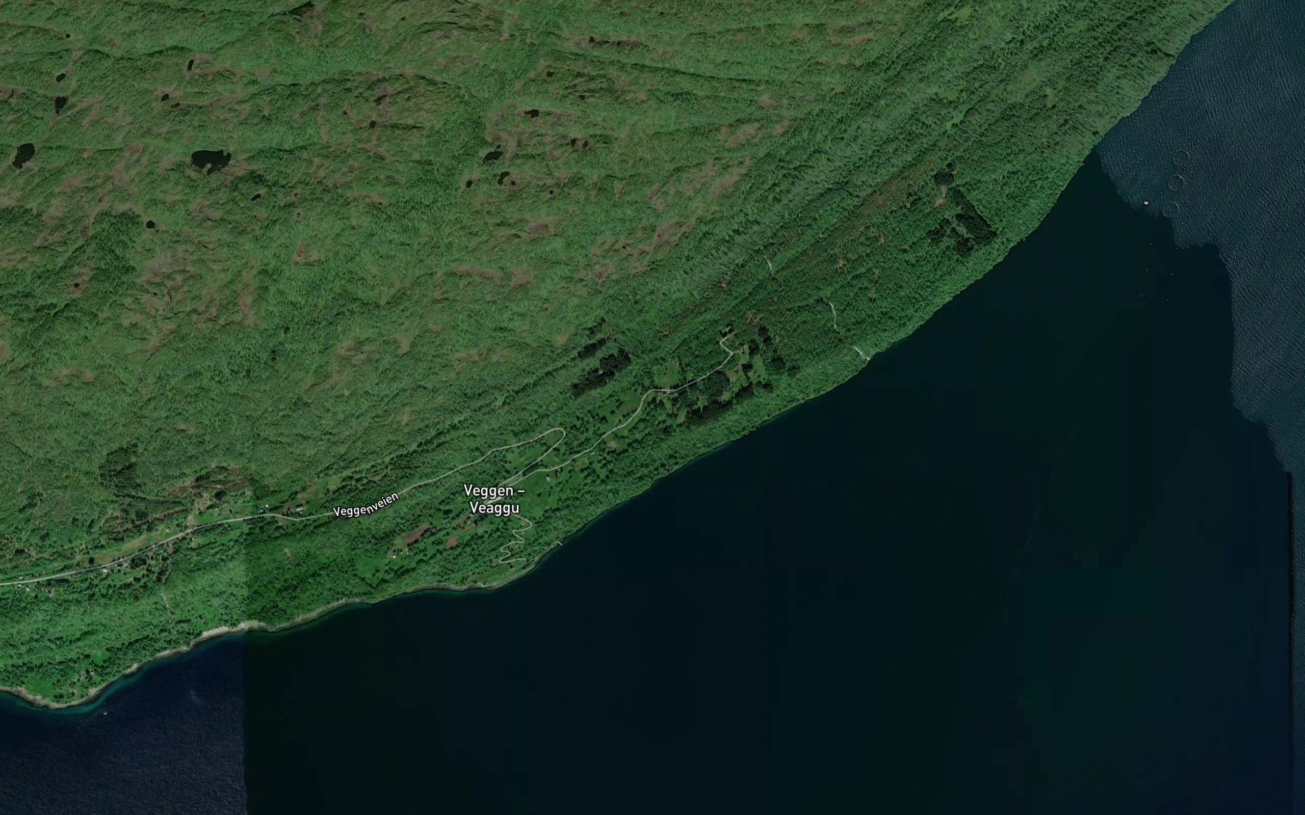 Grolielva