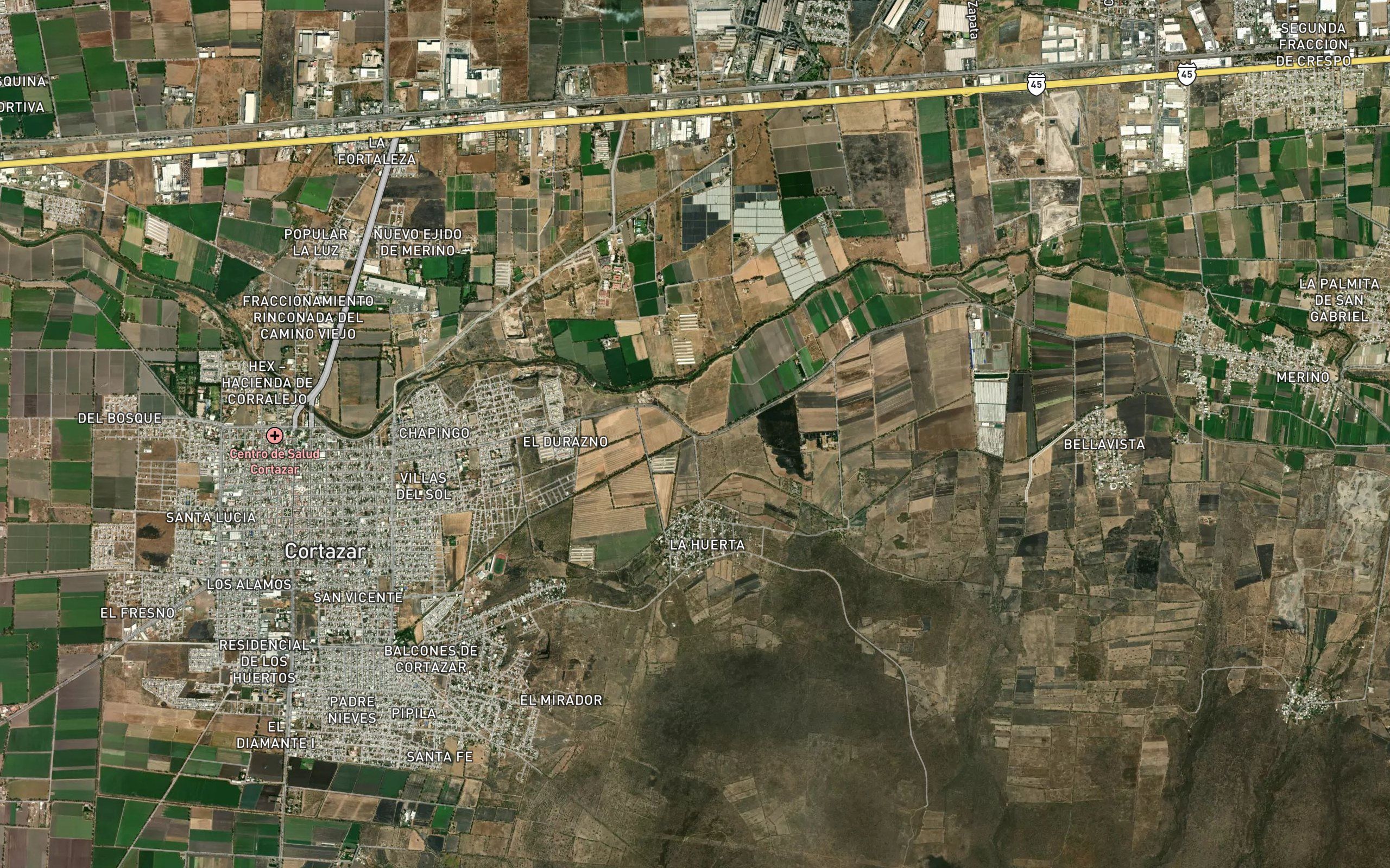 Merino