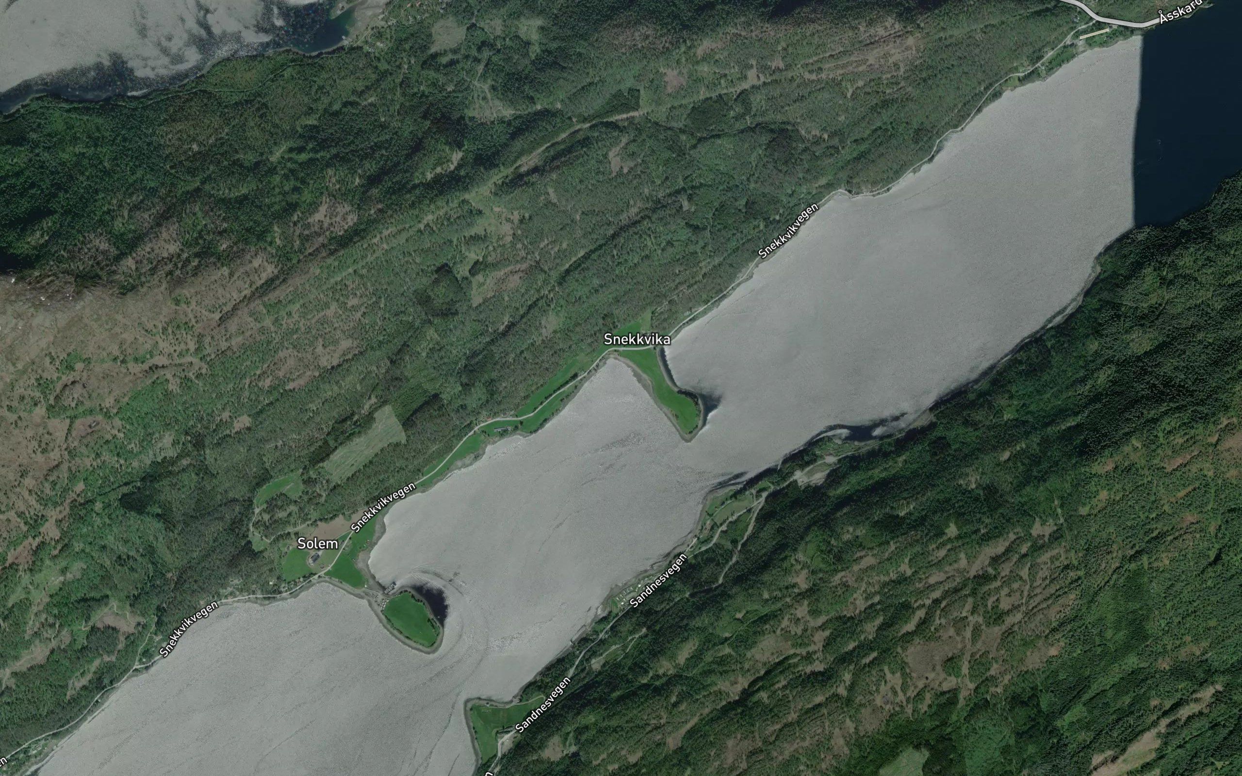 Snekkvika