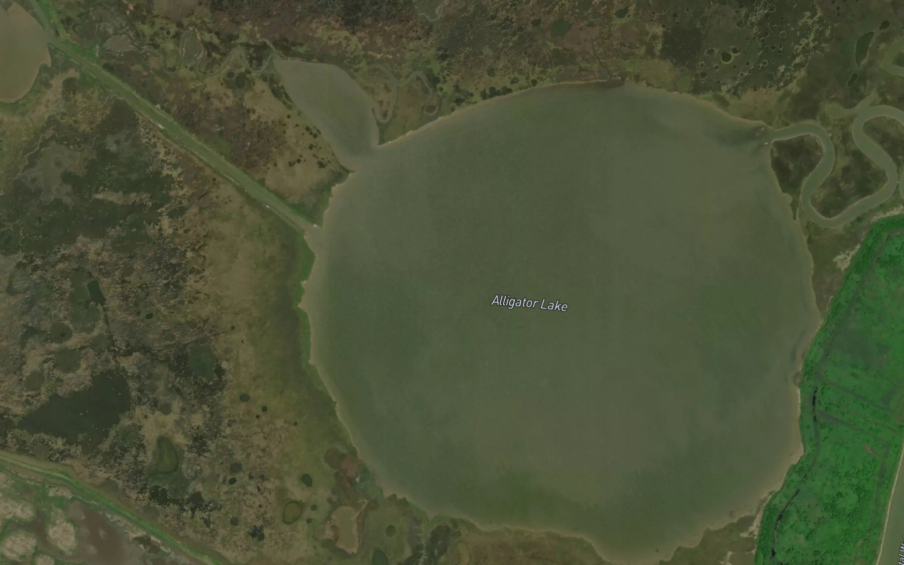 Satellite map of the Alligator Lake