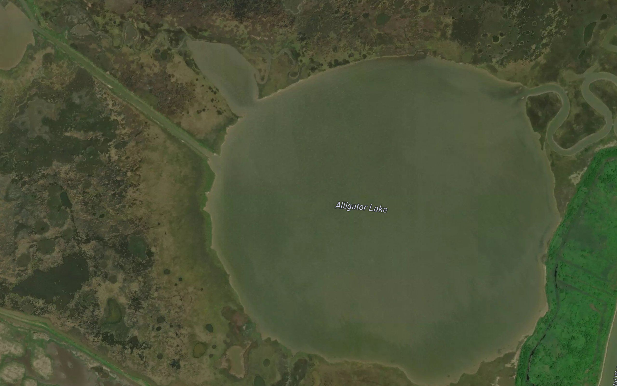 Alligator Lake
