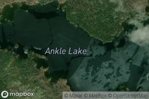 Ankle Lake