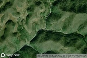 Right Fork Trace Fork
