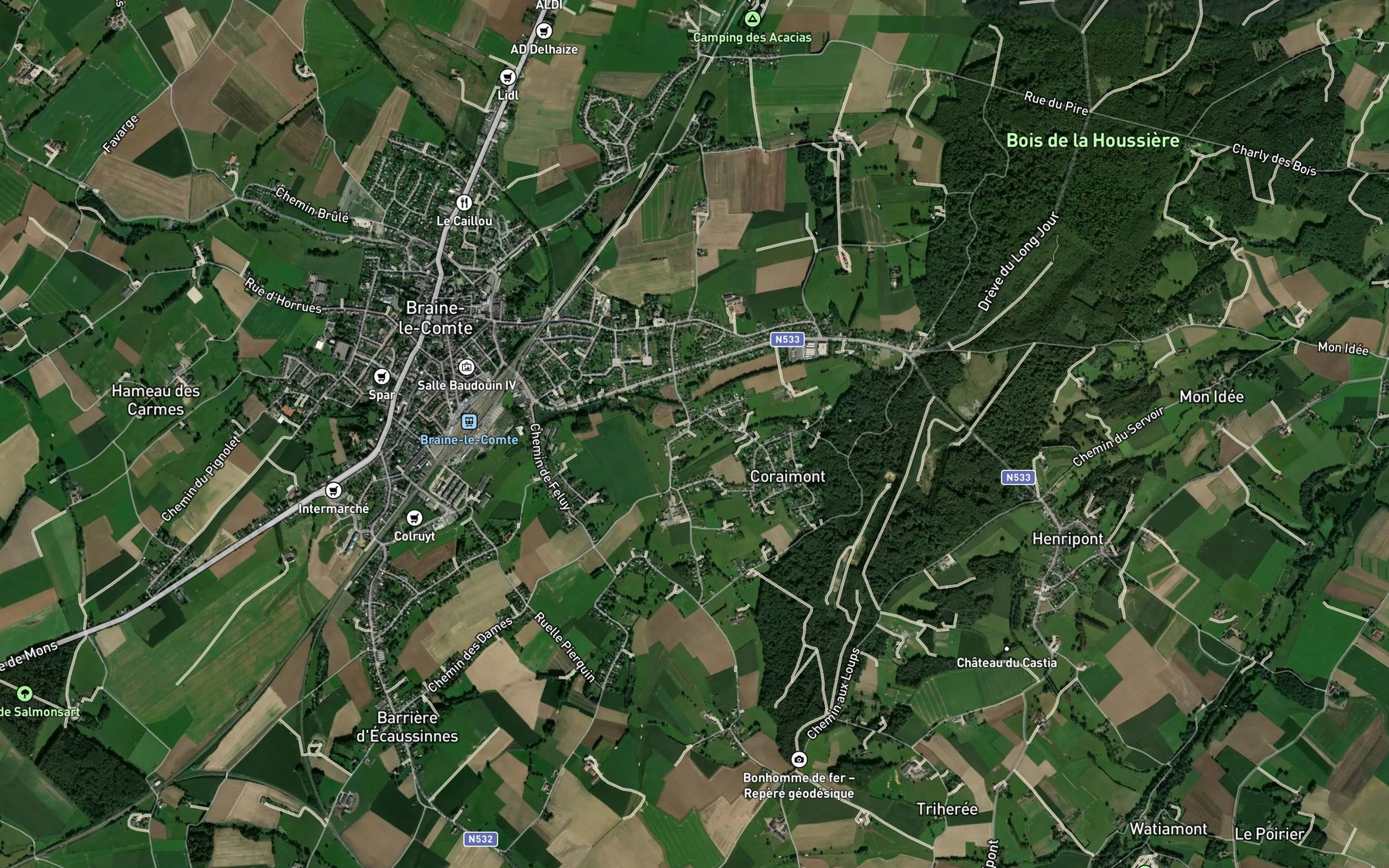 Satellite map of the Coraimont