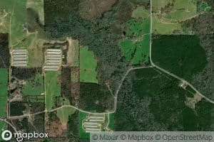 Little Terrible Creek