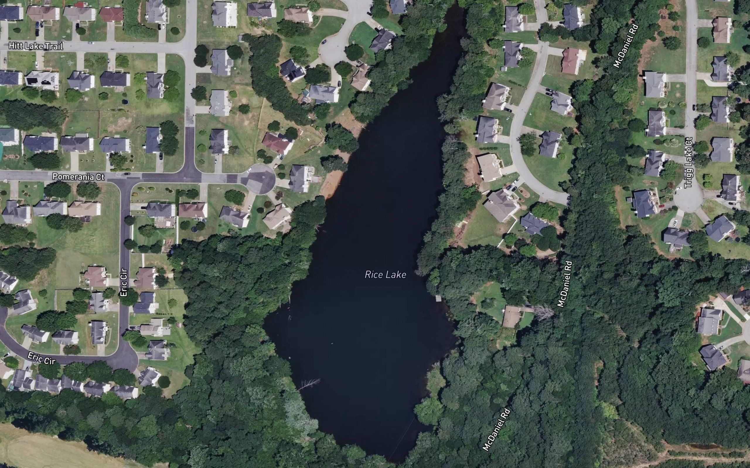 Rice Lake