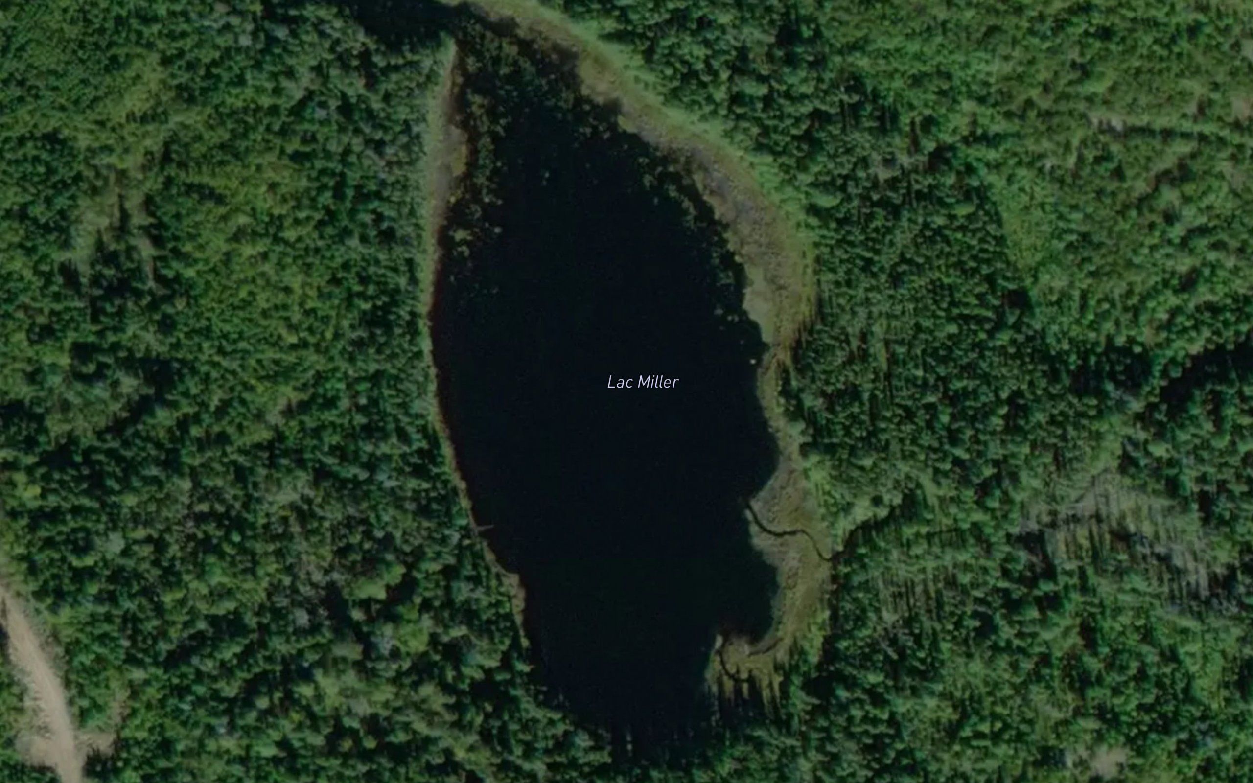 Lac Miller