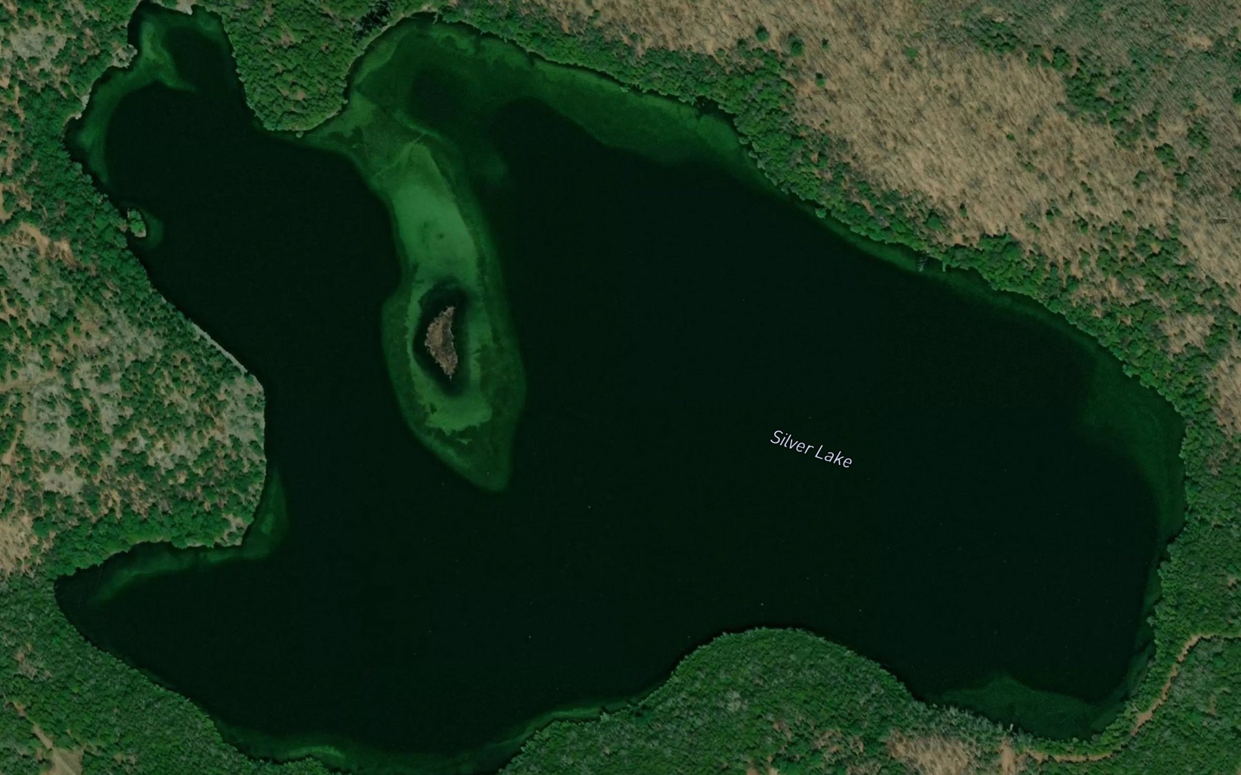 Satellite map of the Silver Lake