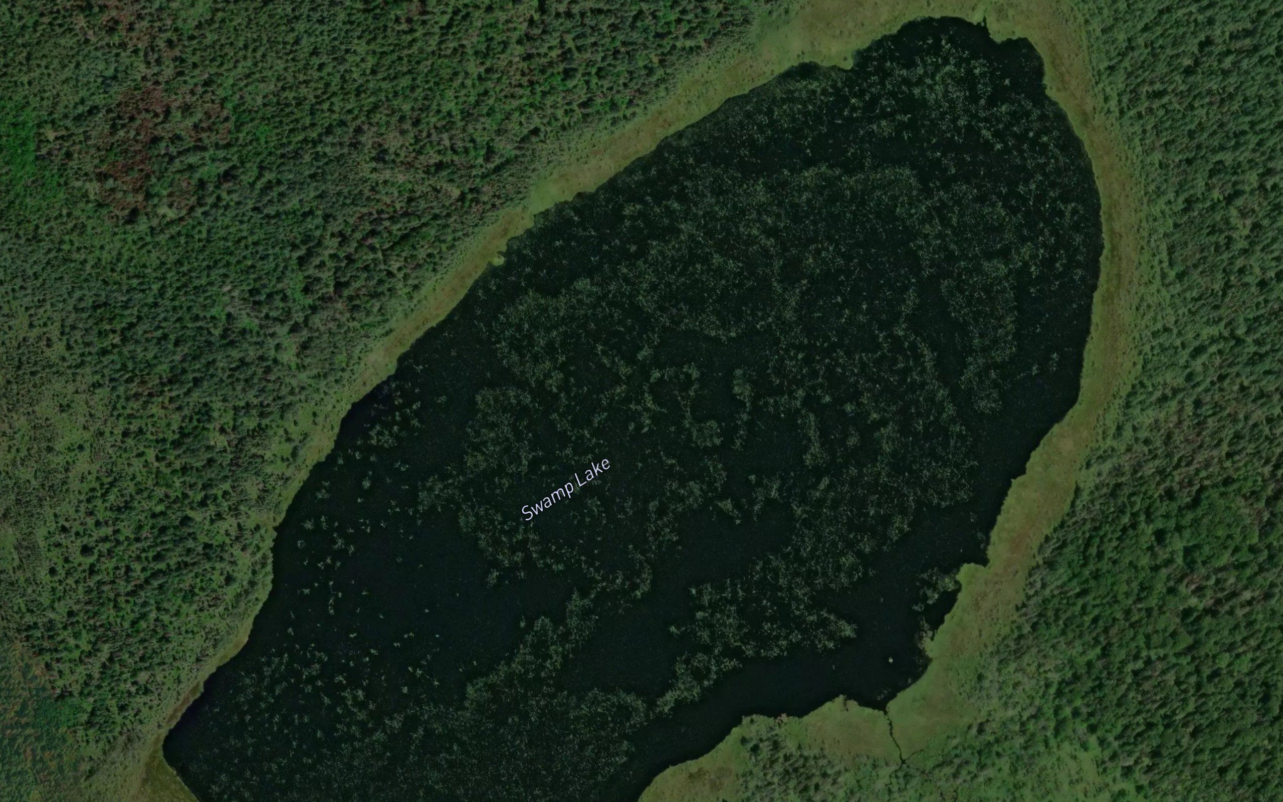 Swamp Lake