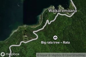 Satellite map of the Te Karetu Stream