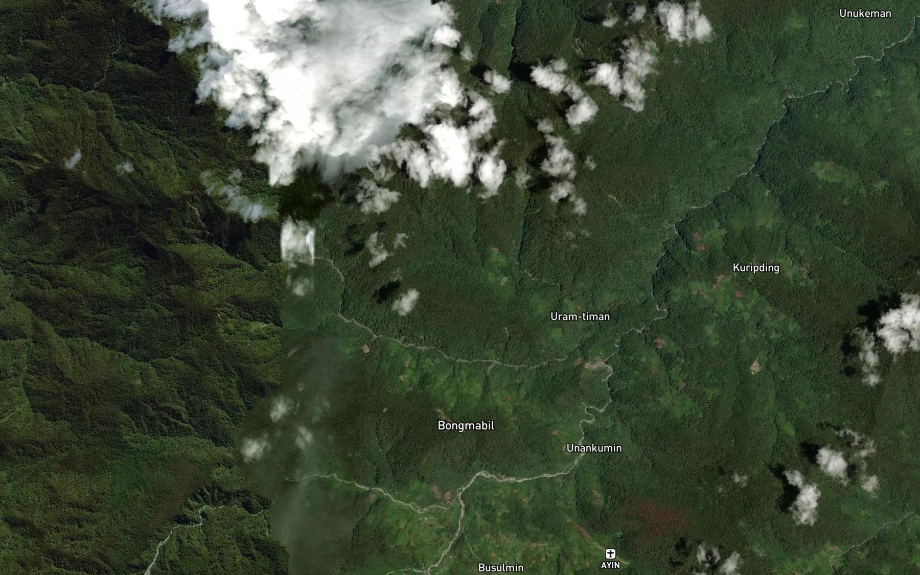 Satellite map of the Ateltem River