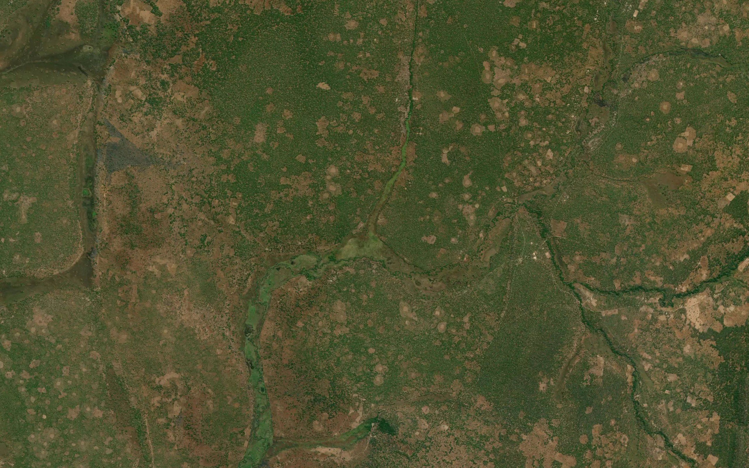 Kalamba