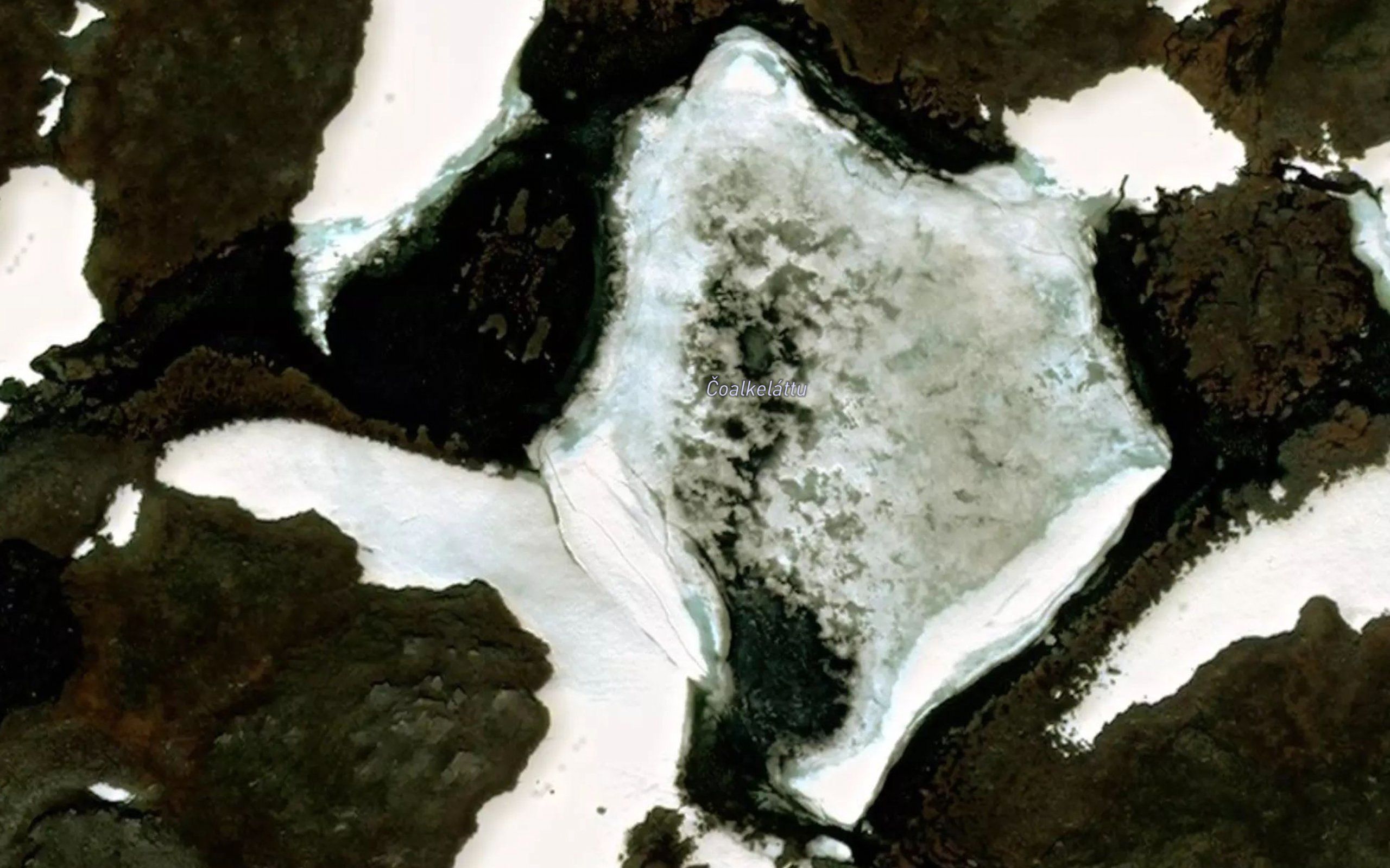 Coalkeladdo