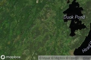 Duck Pond