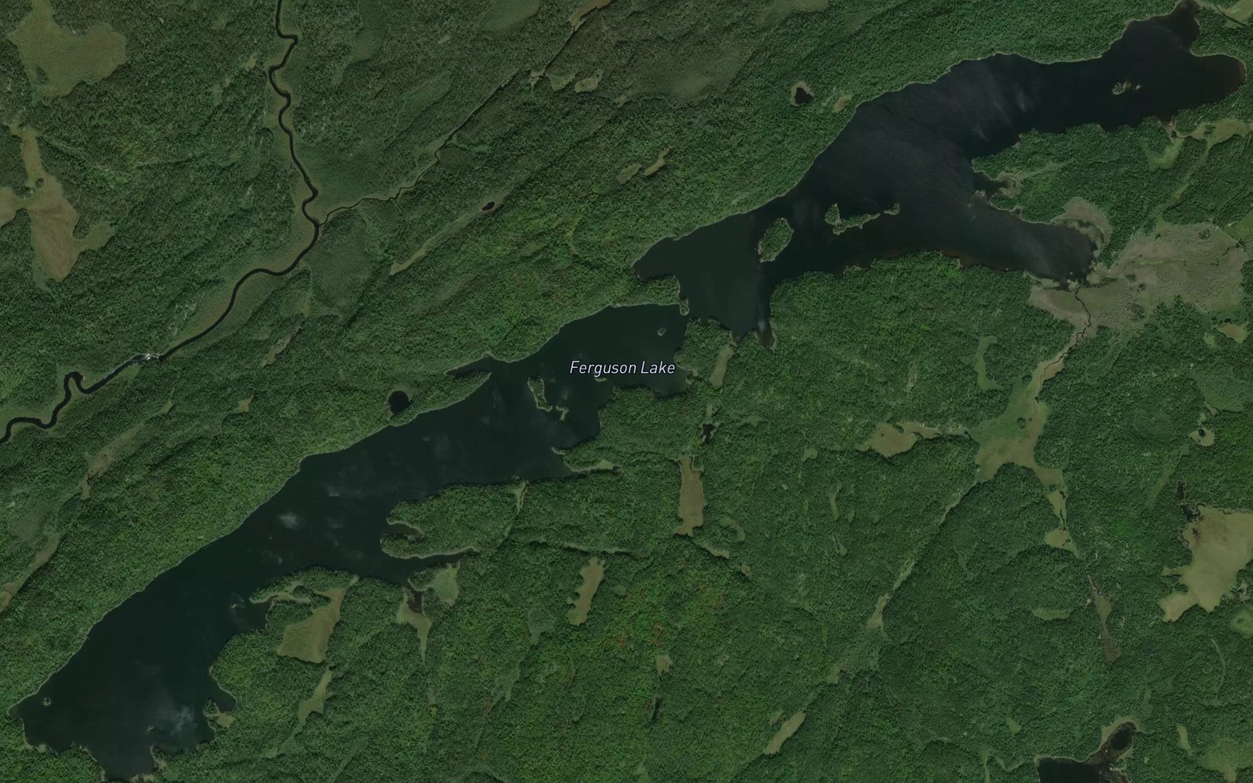 Satellite map of the Ferguson Lake