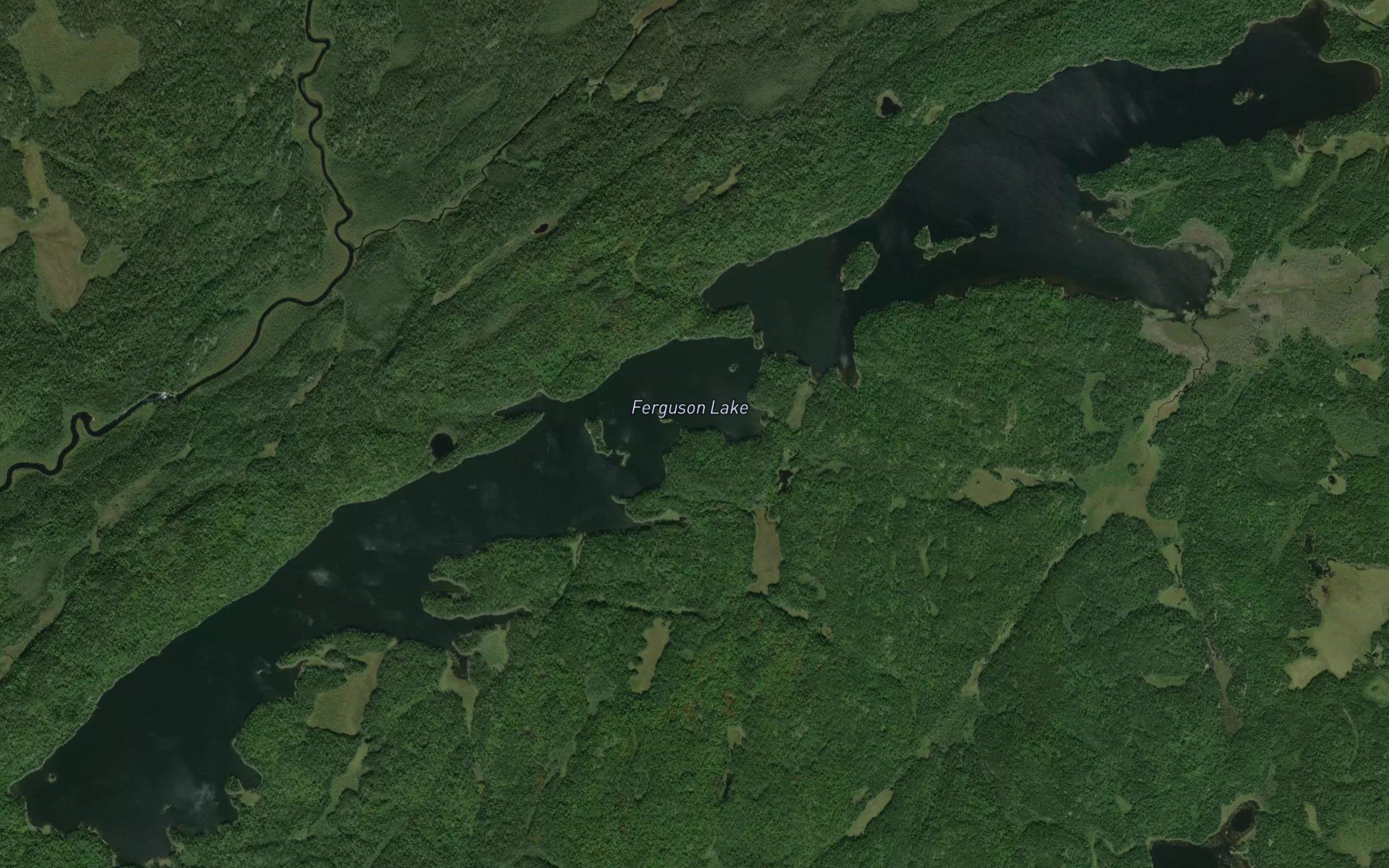Ferguson Lake