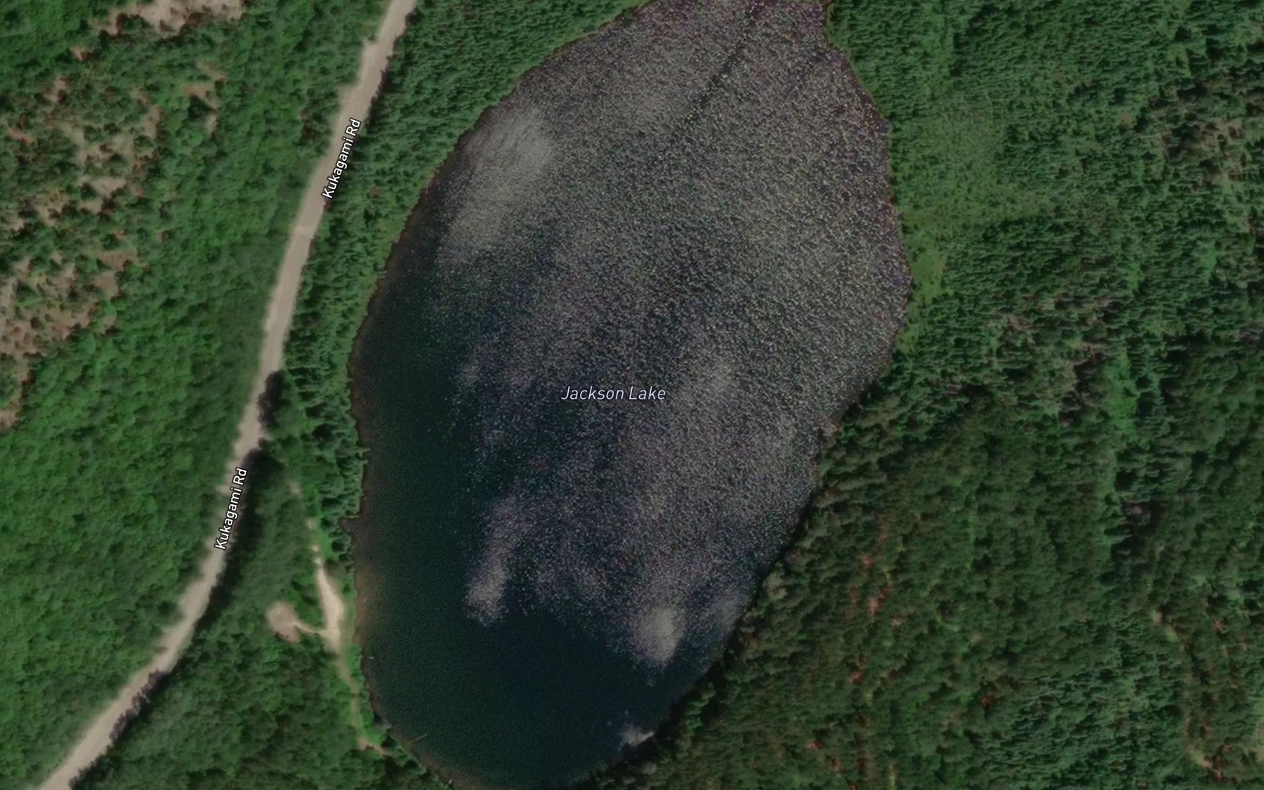 Satellite map of the Jackson Lake