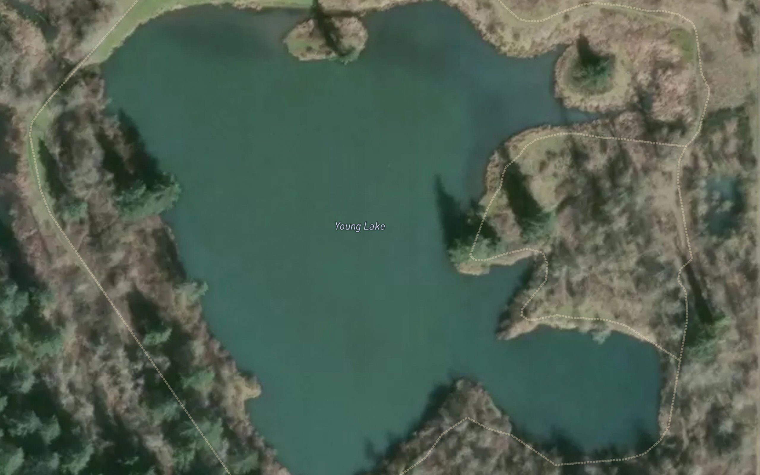 Young Lake