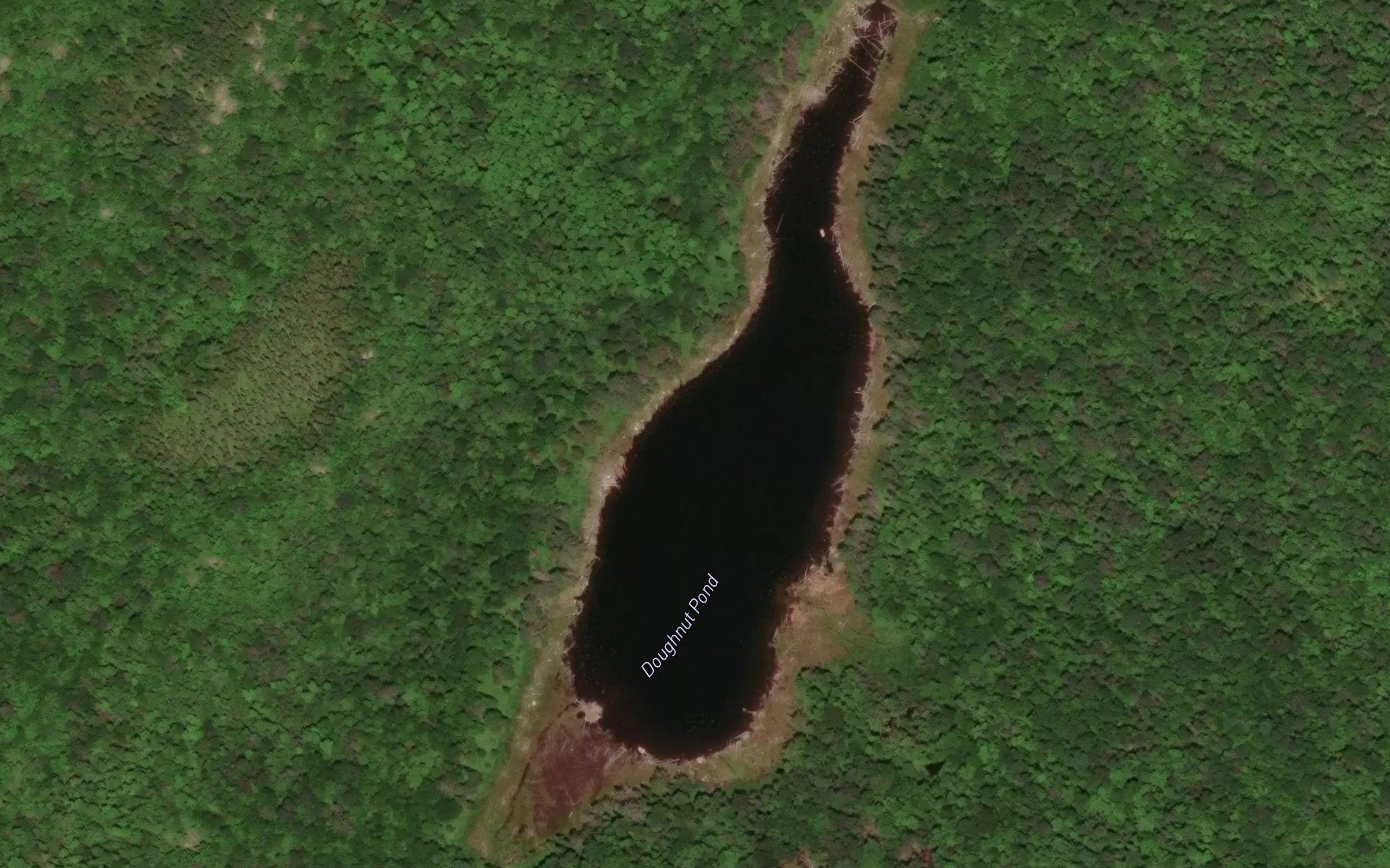 Doughnut Pond