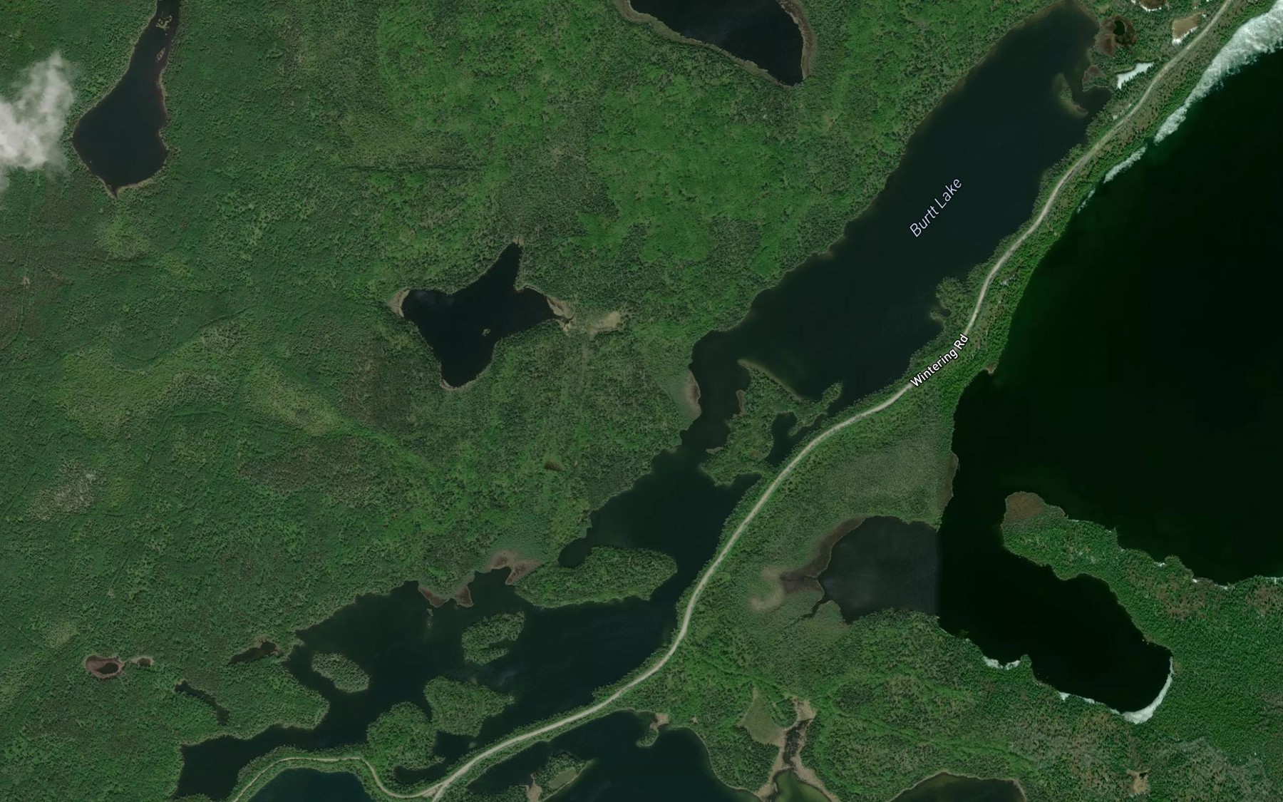 Satellite map of the Burtt Lake