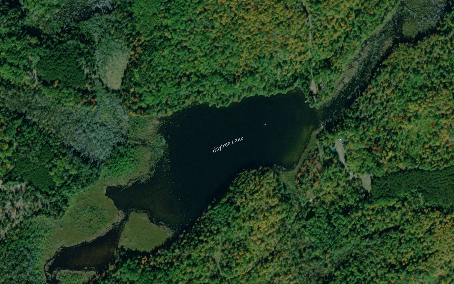 Satellite map of the Baytree Lake