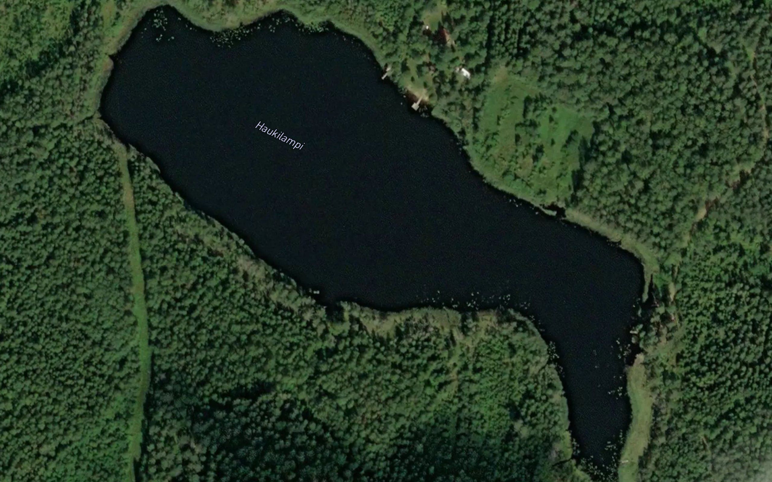 Haukilampi