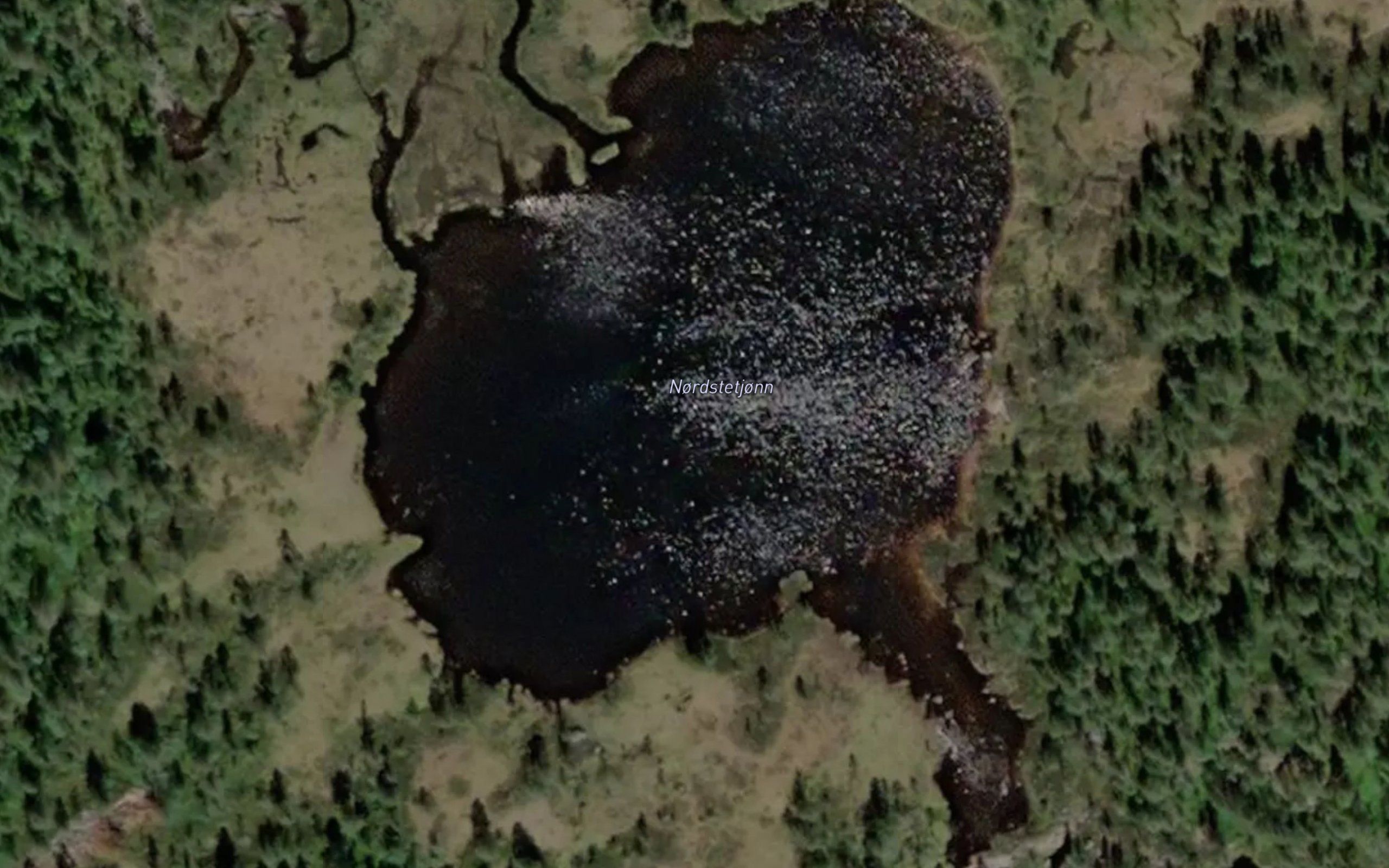 Nordstetjorn