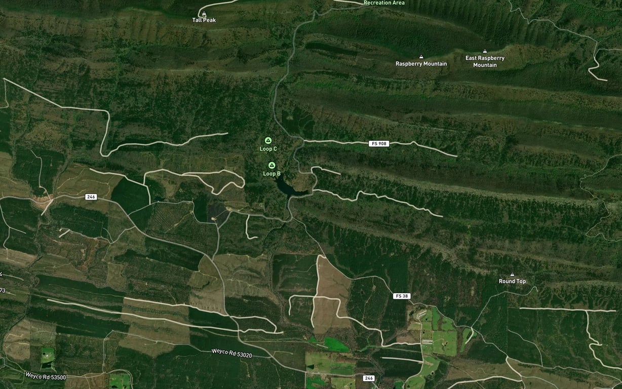 South Fork Saline River Fishing in Arkansas 2026 — Live Reports ...