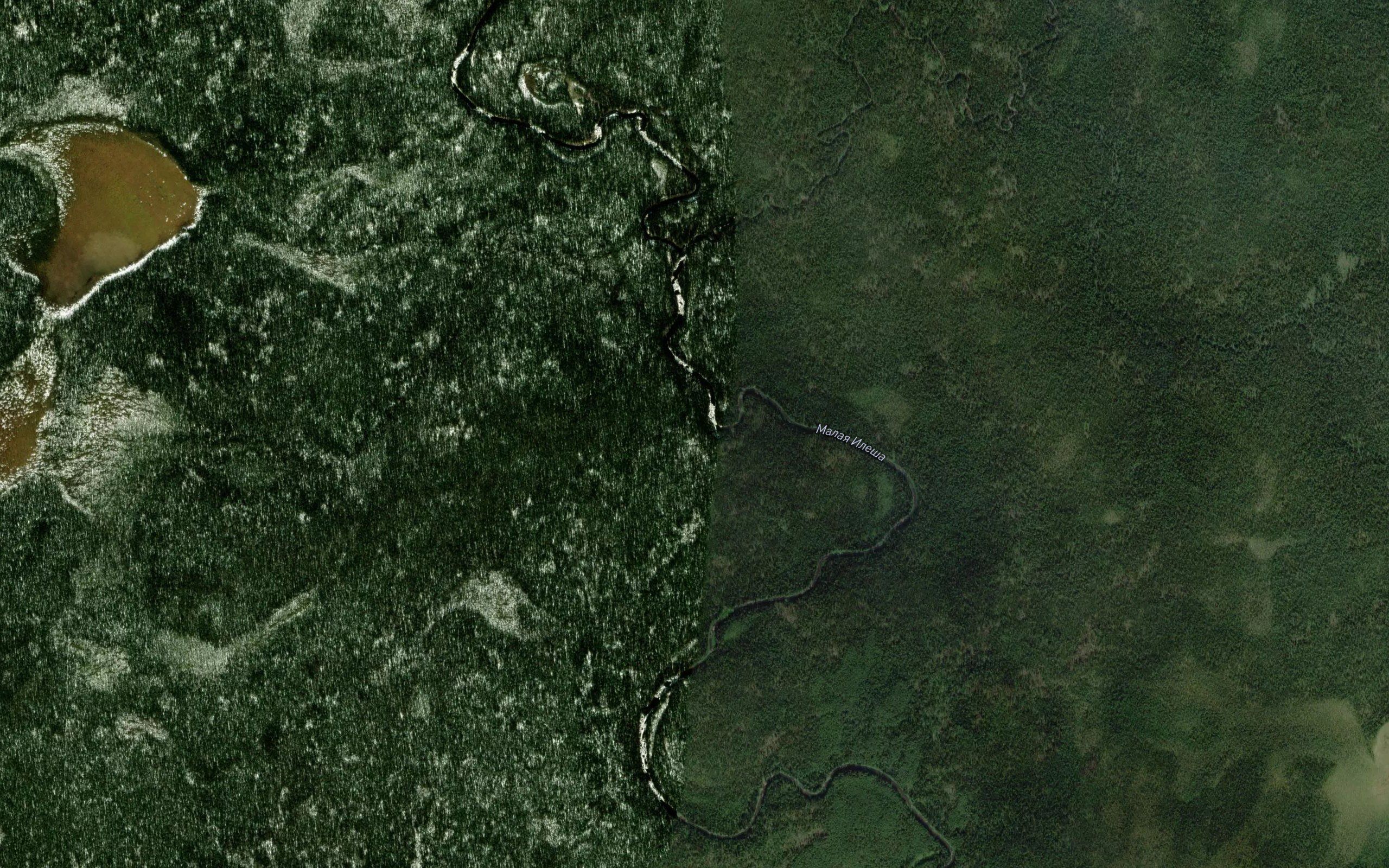 Yelyuga