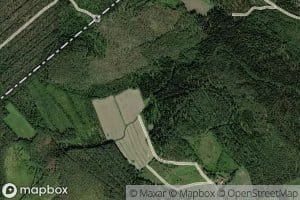 Mustajarvenoja