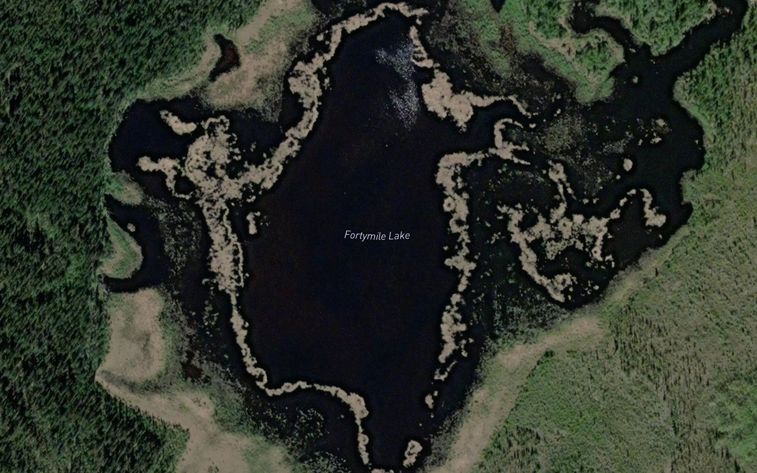 Fortymile Lake