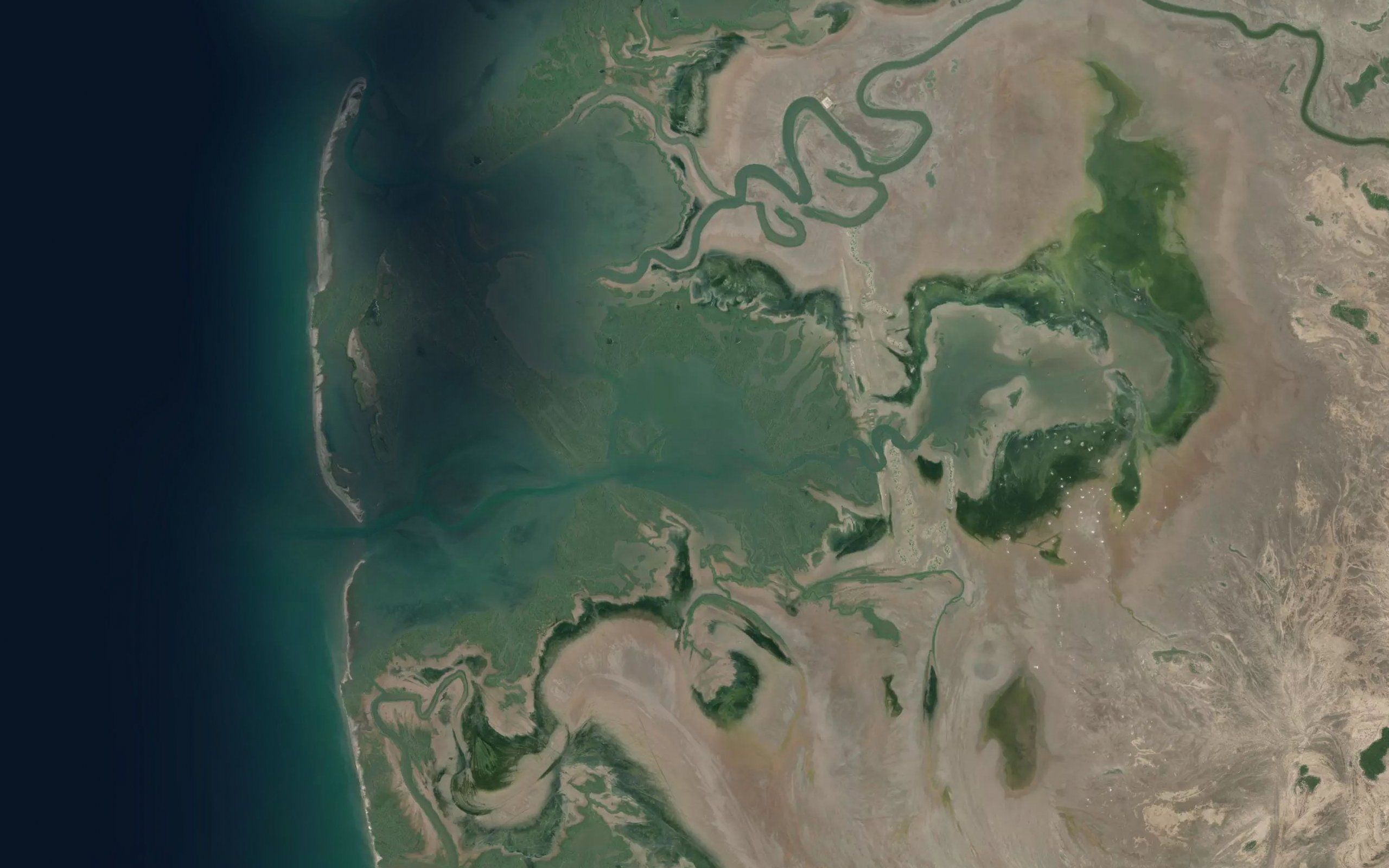 Estero la Tortuga