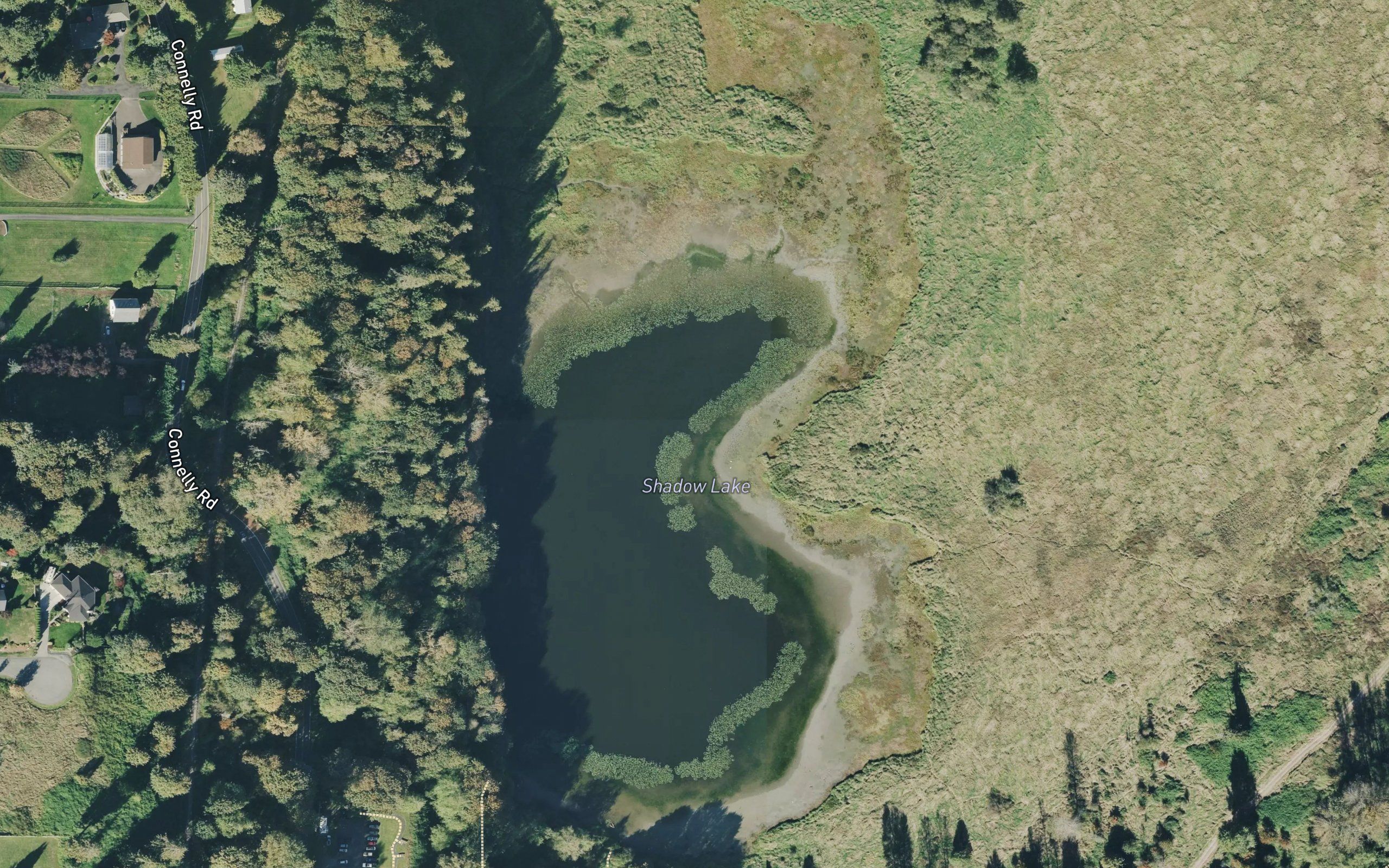 Shadow Lake