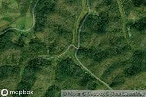 Left Fork Seedtick Branch