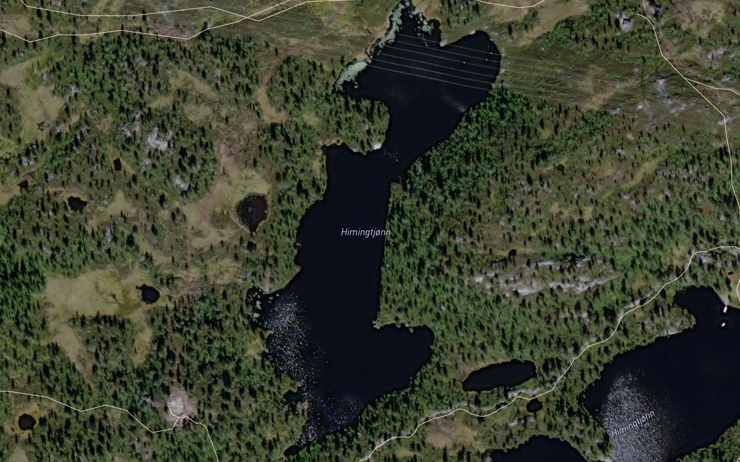 Himingtjornan