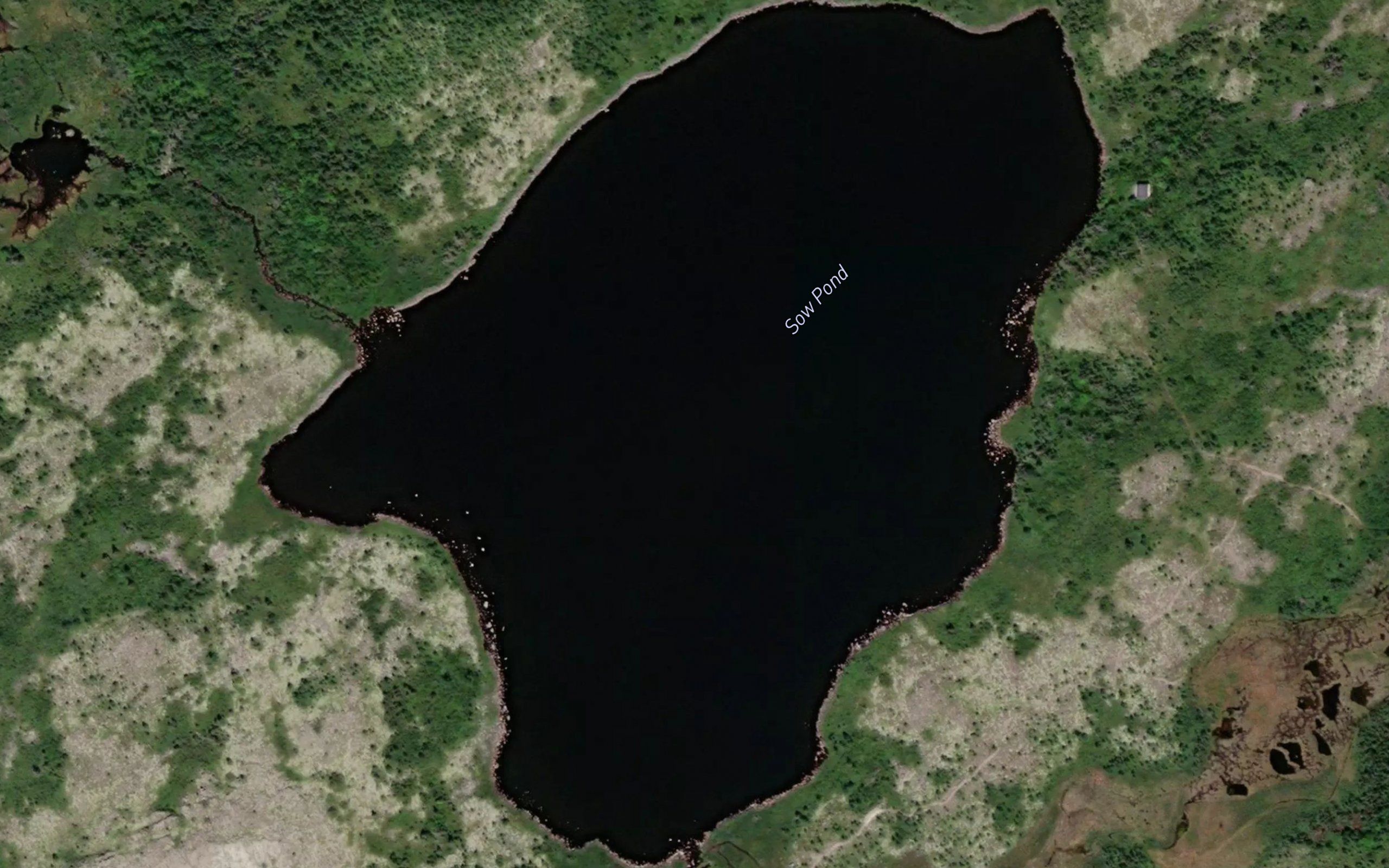 Boar Pond