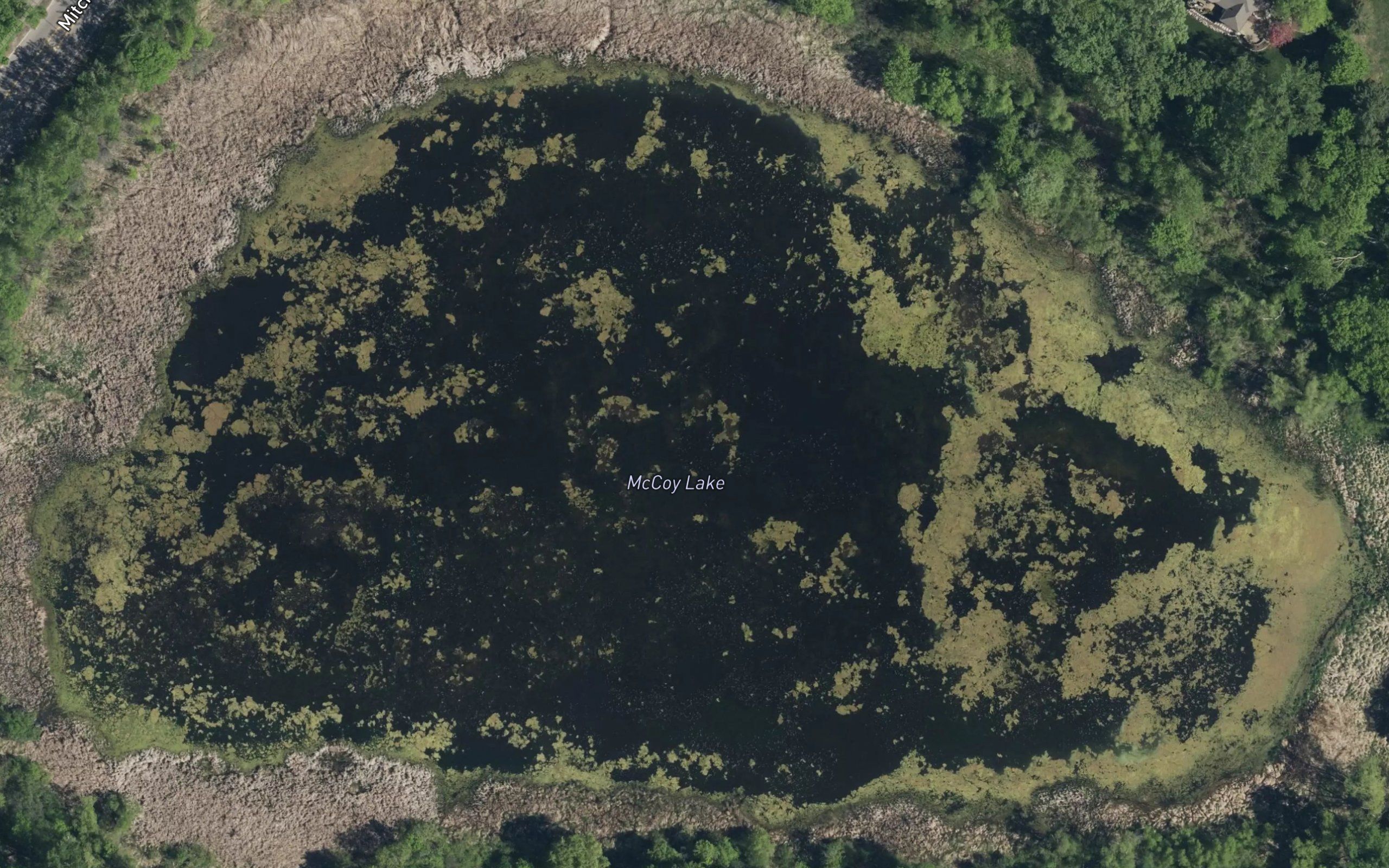 McCoy Lake