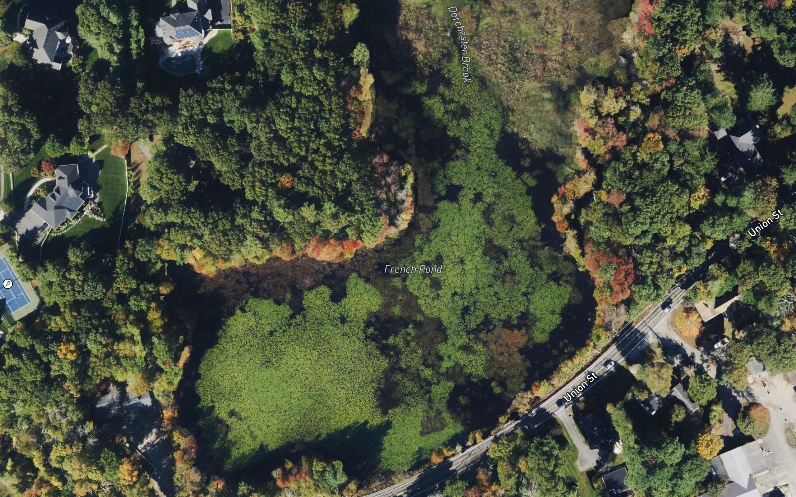 French Pond
