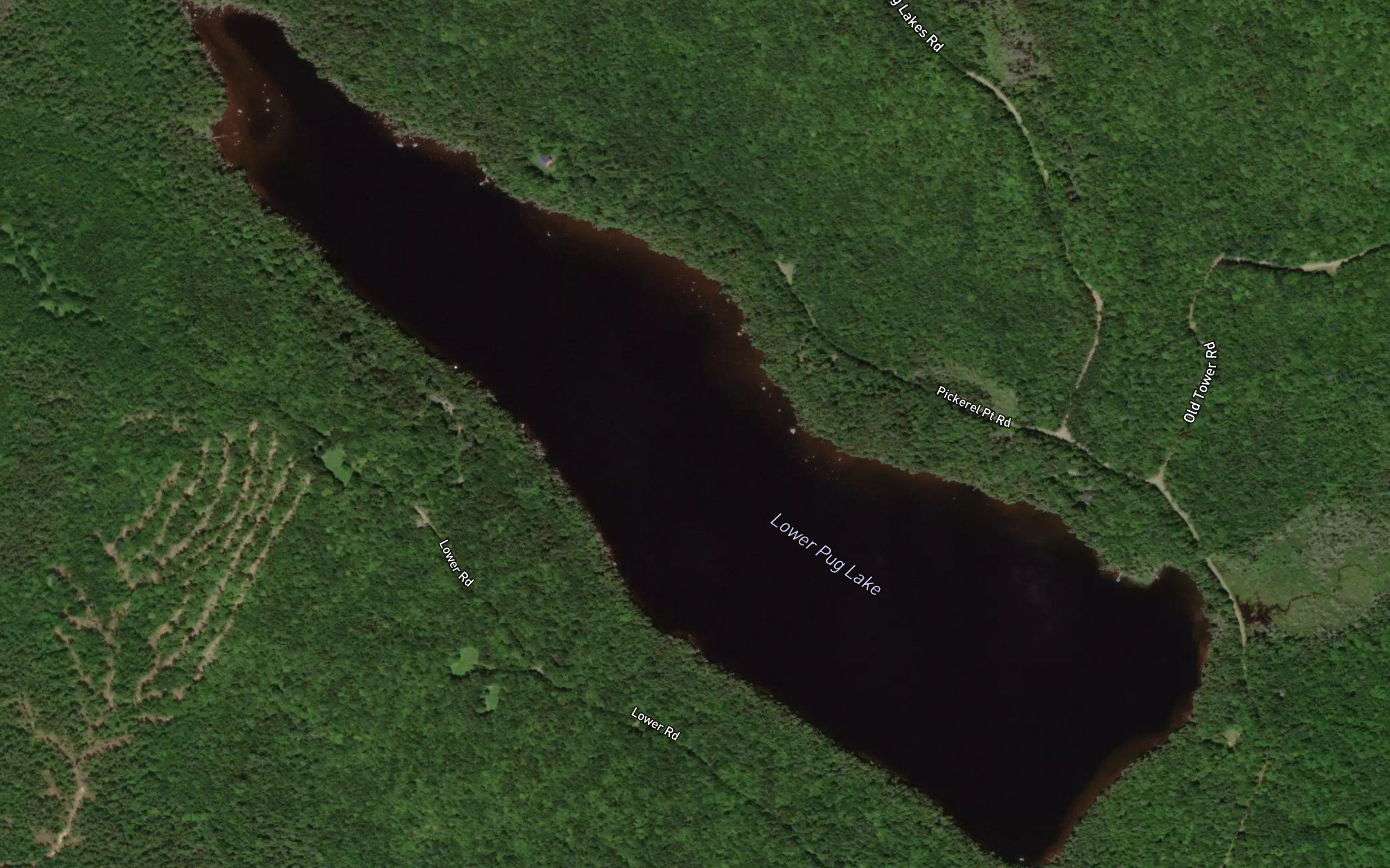 Lower Pug Lake